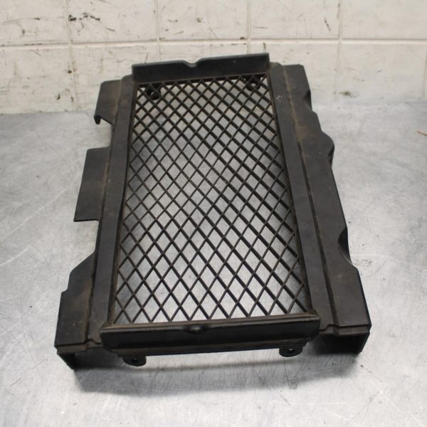 85-88 HONDA NS400R NC19 NSR400 NS400RG RADIATOR GRILL GUARD BB32