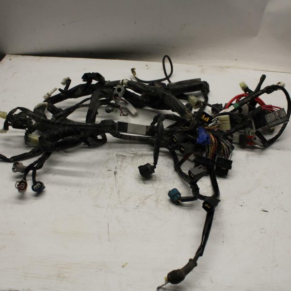 08-17 YAMAHA YZF R6 MAIN ENGINE WIRING HARNESS MOTOR WIRE LOOM BB354